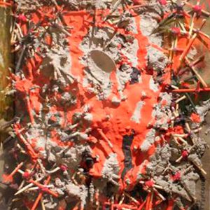 Luiz Bhitthencourt Artista Plástico. Pintura, Exposição, São Paulo, Galeria de Arte, Art Gallery, Museum, Obras de Arte, Colecionador de arte